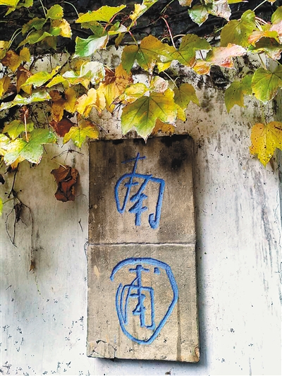 画家的园林诗意：卖画买山