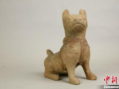 重庆展出狗文物珍品 汉代千年萌宠吸睛