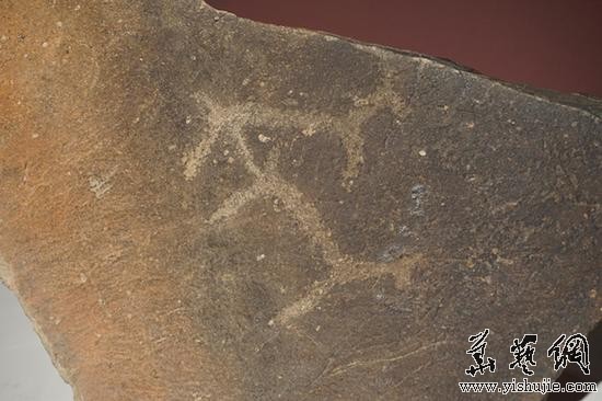 动物交媾图 阿拉善左旗骆驼山岩画