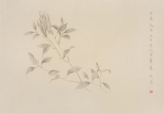武艺，仿古花卉图，48.8×70.8cm，纸本水墨，2018