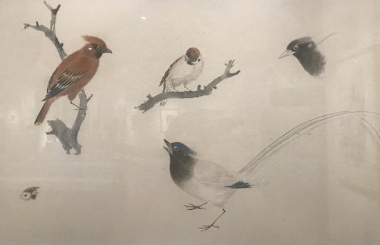 乔木，《花鸟课徒稿》，1961-1962年