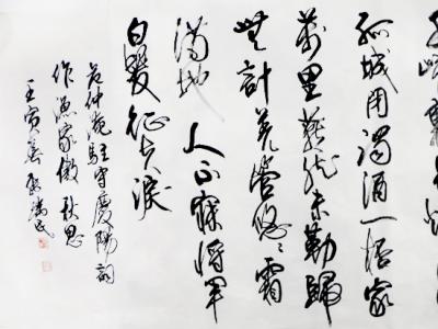澄怀去抱 爱好铸墨——略谈张瑞民先生书法
